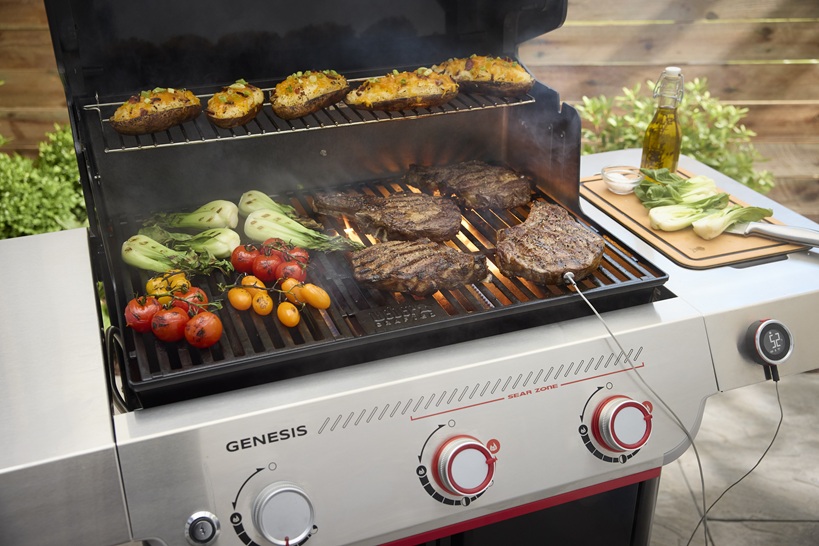weber genesis
